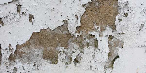 Pintar Fachadas de Empresas / Negocios / Locales Comerciales en Mataró · Pintura Antihumedad / Antimoho para Humedades / Moho