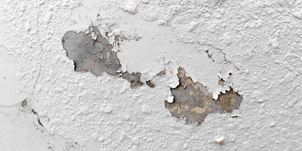 Pintar Fachadas de Naves Industriales, Fábricas y Almacenes en Mataró · Pintura Antihumedad / Antimoho para Humedades / Moho